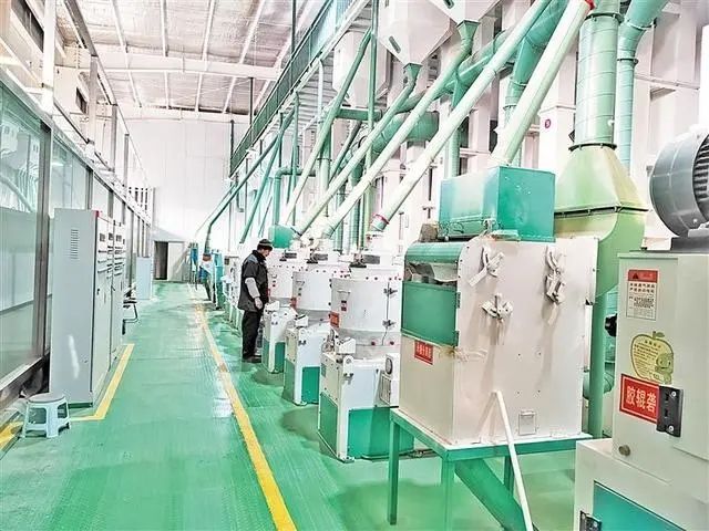 安陽市億天米業有限公司怎么樣？